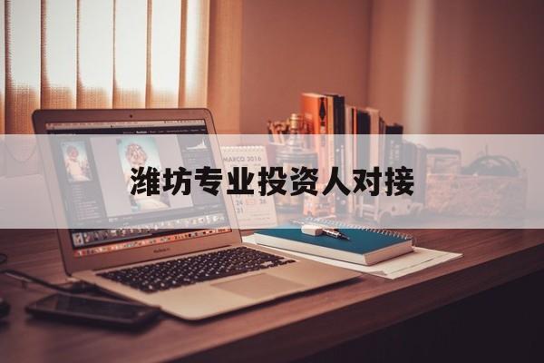 葫芦岛市潍坊专业投资人对接(潍坊专业投资人对接中心)