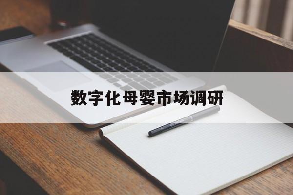 葫芦岛市数字化母婴市场调研(数字化母婴市场调研报告)